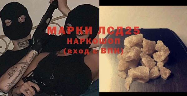 ПСИЛОЦИБИНОВЫЕ ГРИБЫ Горно-Алтайск