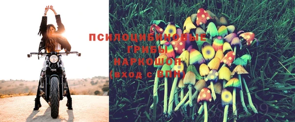 бутират Горняк
