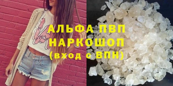 ПСИЛОЦИБИНОВЫЕ ГРИБЫ Горно-Алтайск