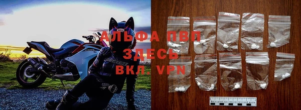 гидра Гусиноозёрск