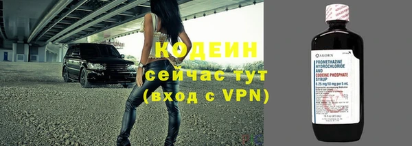 ПСИЛОЦИБИНОВЫЕ ГРИБЫ Горно-Алтайск