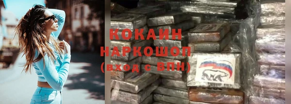 ПСИЛОЦИБИНОВЫЕ ГРИБЫ Горно-Алтайск
