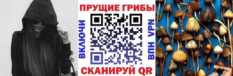 Купить где  Остров  Псилоцибиновые грибы MAGIC MUSHROOMS 